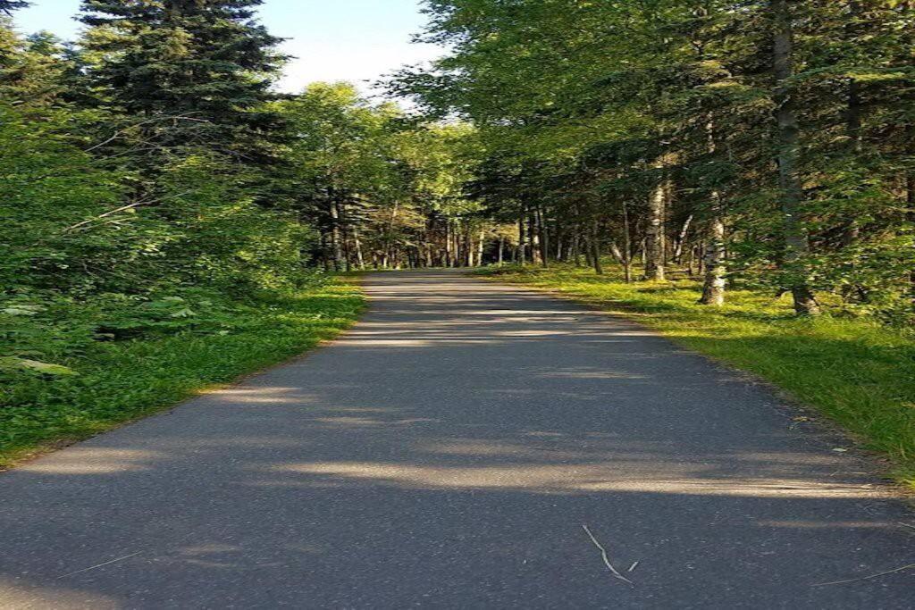Moose Meadows- Near The Airport, Centrally Located Anchorage Kültér fotó